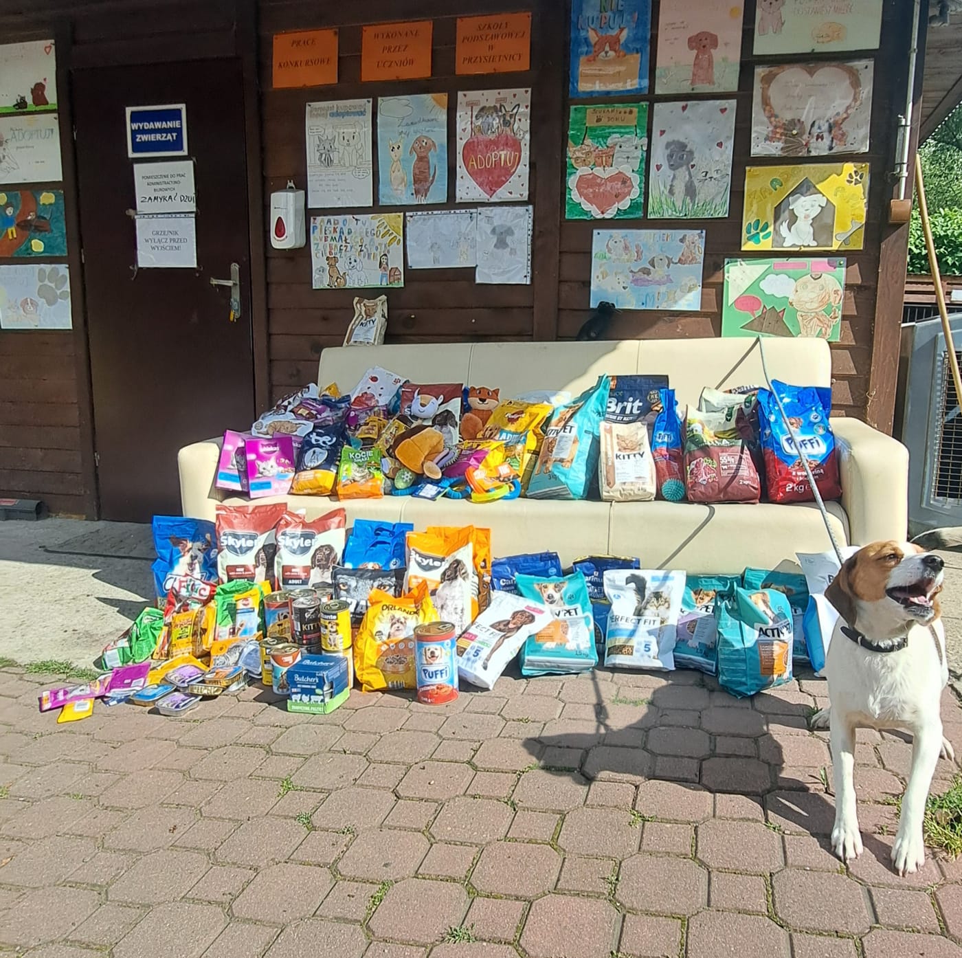 W imieniu czworonogów – dziękujemy :-)