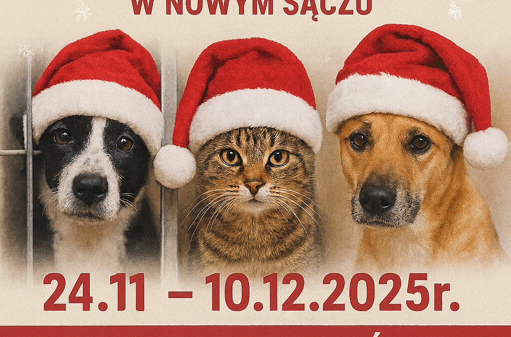 Zbiórka dla schroniska!