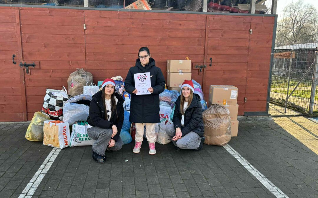 Dziękujemy za Mikołajkowe Wsparcie dla Schroniska